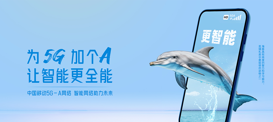 中国移动麻章区移动宽带