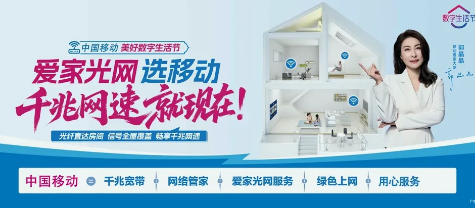 麻章区麻章区麻章镇 移动宽带